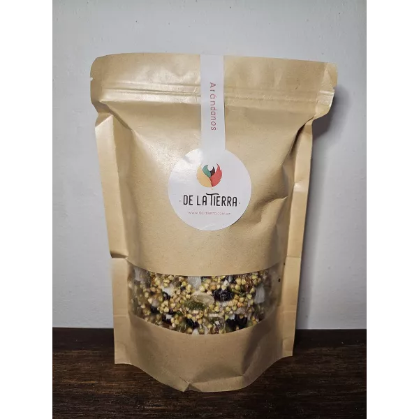 GRANOLA VIVA X 500 GRS CON ARANDANOS